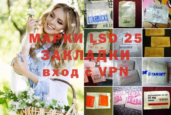 шишки Алзамай
