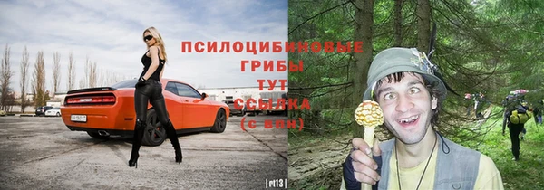 spice Абдулино
